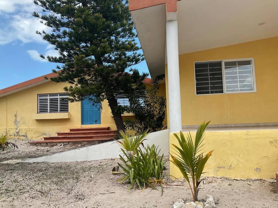 La Casa Amarilla Frente Al Mar Villa Chelem Buitenkant foto